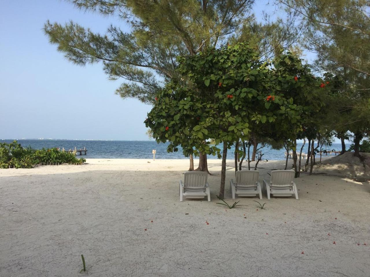 Sea By C Apartments (Adults Only) Cancún Exterior foto